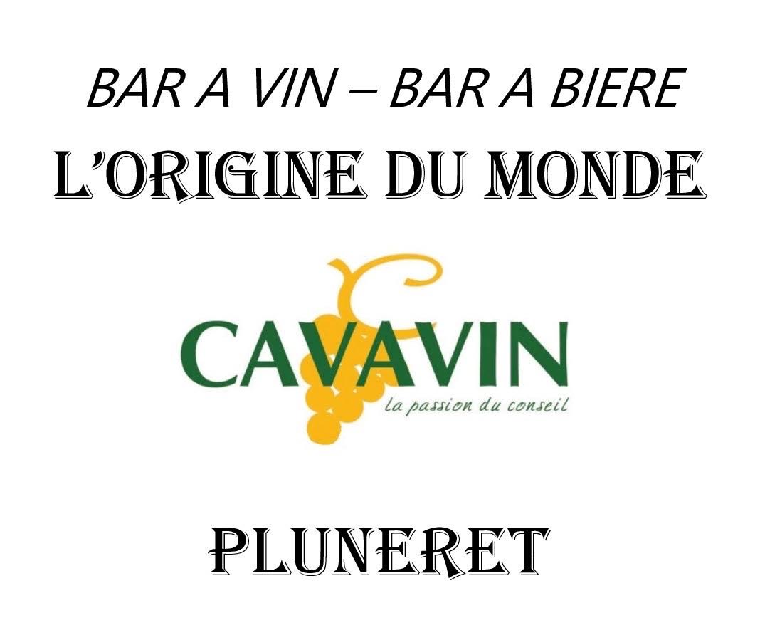 logo de Cavavin de Pluneret